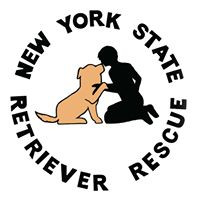 New York State Retriever Rescue, Inc. 501c(3)
